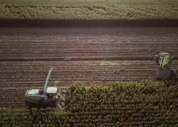 Agronegócio emprega 28,4 milhões de pessoas e bate recorde para o 2° trimestre
