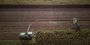 Agronegócio emprega 28,4 milhões de pessoas e bate recorde para o 2° trimestre