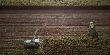 Agronegócio emprega 28,4 milhões de pessoas e bate recorde para o 2° trimestre