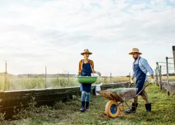 Agropecuária fecha agosto com saldo positivo de 1,45 mil empregos formais