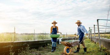 Agropecuária fecha agosto com saldo positivo de 1,45 mil empregos formais