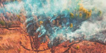 Amazonas tem oito incêndios florestais ativos, após 282 ocorrências extintas