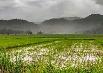 Chuva deve persistir em areas agricolas do pais ate sexta feira 30