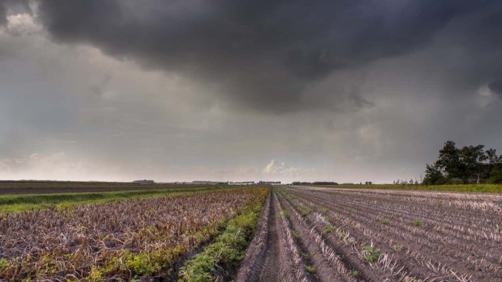 Chuvas intensas colocam plantio da soja e lavouras de inverno em alerta no Paraná