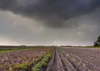 Chuvas intensas colocam plantio da soja e lavouras de inverno em alerta no Paraná