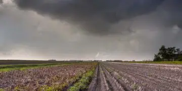 Chuvas intensas colocam plantio da soja e lavouras de inverno em alerta no Paraná