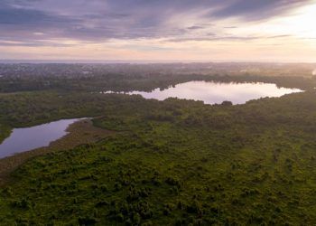 Clima da Amazonia se torna mais extremo ate em areas preservadas aponta estudo