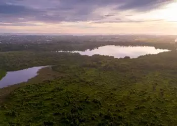 Clima da Amazônia se torna mais extremo até em áreas preservadas, aponta estudo