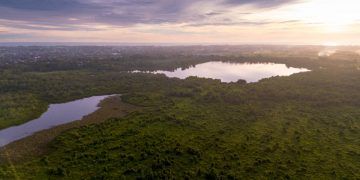 Clima da Amazônia se torna mais extremo até em áreas preservadas, aponta estudo