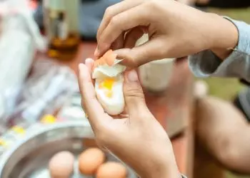 Consumo de ovos no Brasil deve chegar a 301 unidades por habitante em 2026
