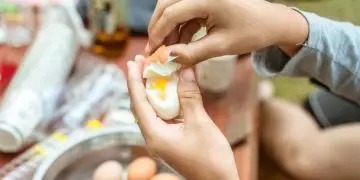 Consumo de ovos no Brasil deve chegar a 301 unidades por habitante em 2026