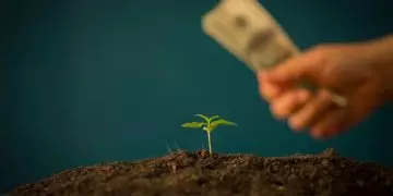 Crédito rural em Goiás cai 42% nos três primeiros meses da safra 2026/27