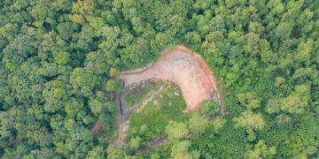 Desmatamento na Amazônia cai ao menor patamar da série histórica Nesse cenário, a irrigação pode ser uma ferramenta importante para reduzir a dependência das chuvas e dar mais previsibilidade ao manejo das culturas. O uso de sistemas como pivôs centrais, aliado a tecnologias de monitoramento e telemetria, permite acompanhar a necessidade de água e ajustar a aplicação de acordo com as condições da lavoura e do solo. Para falar sobre o assunto, recebemos @‌ruittercarneiro, profissional que atua na área de automação, tecnologia e irrigação agrícola. O episódio vai ao ar às 19h no Youtube e nas principais plataformas de podcasts. A apresentação é de @‌porpedromaia. #agro2 #elnino #produtoresrurais #impactos #irrigação #chuvasintensas #planejamento #produçãoagricola #podcastagro2