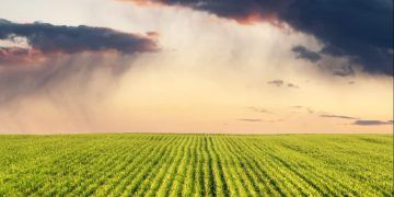El Niño muda cenário de chuvas e exige adaptação do agro em diferentes regiões