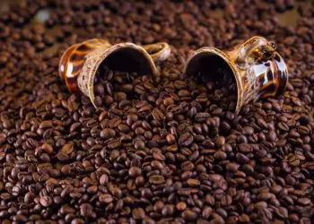 Exportações de café crescem em volume, mas faturamento recua 8,6% em 2026