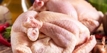 Exportações de carne de frango avançam 3,7% em setembro, com receita de US$ 984 milhões