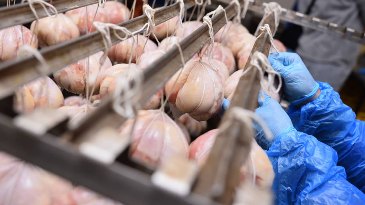 Exportações de carne de frango de Mato Grosso crescem 24,42% em 2026