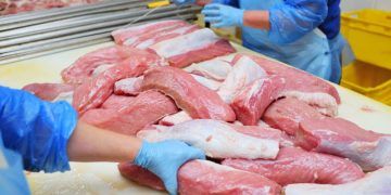 Exportações de carne suína crescem 6,2% e chegam a 1,19 milhão de toneladas até setembro
