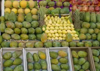 Frutas brasileiras ampliam especialização e ganham espaço no mercado externo