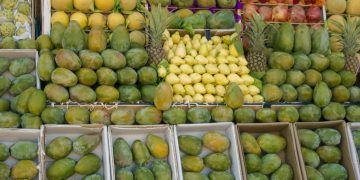 Frutas brasileiras ampliam especialização e ganham espaço no mercado externo