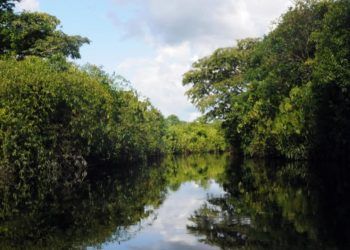 Gestão da água terá novas diretrizes para enfrentar mudanças climáticas