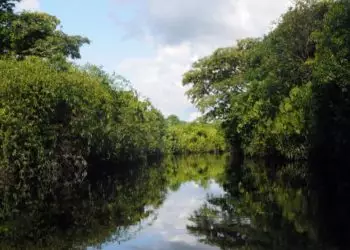 Gestão da água terá novas diretrizes para enfrentar mudanças climáticas 6 Gestão da água terá novas diretrizes para enfrentar mudanças climáticas