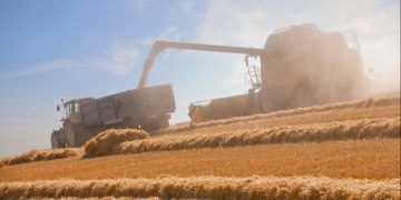 Goiás deve aumentar produção de grãos em 7,8% na safra 2026/27