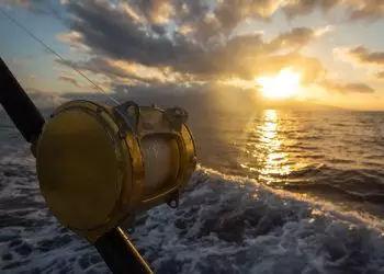 Governo abre consulta para atualizar regras da pesca amadora e esportiva