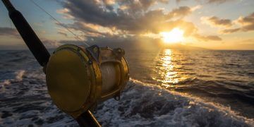 Governo abre consulta para atualizar regras da pesca amadora e esportiva