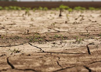 Governo federal reconhece emergência por estiagem em 14 municípios do Amapá