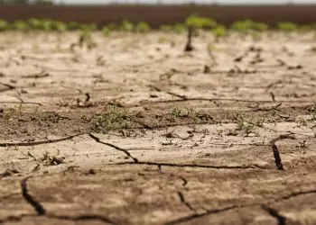 Governo federal reconhece emergência por estiagem em 14 municípios do Amapá