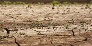 Governo federal reconhece emergência por estiagem em 14 municípios do Amapá