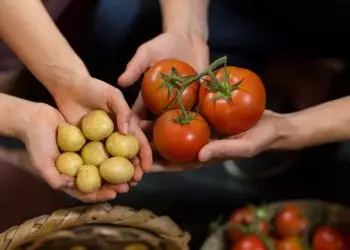 IPCA sobe 0,82% em setembro, com alta de tomate, batata e arroz