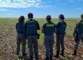 Ibama multa produtores em R$ 890 mil por cultivo irregular de milho transgênico em Goiás 4 Ibama multa produtores em R$ 890 mil por cultivo irregular de milho transgênico em Goiás
