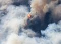 Incêndios florestais atingem 76 municípios do Pará e mobilizam equipes federais 4 Incêndios florestais atingem 76 municípios do Pará e mobilizam equipes federais