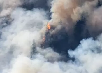 Incêndios florestais atingem 76 municípios do Pará e mobilizam equipes federais