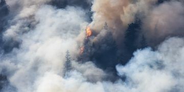 Incêndios florestais atingem 76 municípios do Pará e mobilizam equipes federais