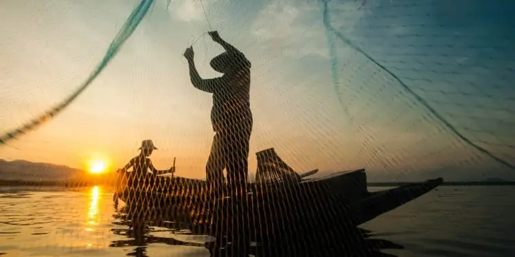 Ministério suspende e cancela mais de 700 mil licenças de pescadores em dois anos 1 Ministério suspende e cancela mais de 700 mil licenças de pescadores em dois anos