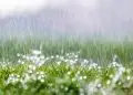 Previsão indica chuva acima de 100 mm em áreas do Brasil até novembro 4 Previsão indica chuva acima de 100 mm em áreas do Brasil até novembro