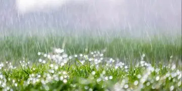 Previsão indica chuva acima de 100 mm em áreas do Brasil até novembro