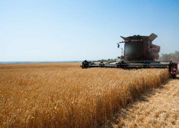 Producao brasileira de graos deve alcancar 3671 milhoes de toneladas em 2627