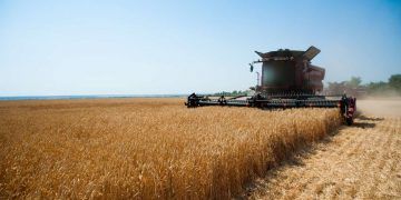 Produção brasileira de grãos deve alcançar 367,1 milhões de toneladas em 26/27