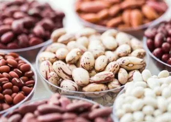 Pronaf prevê desconto para produtores de feijão do Rio Grande do Sul