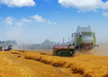 VBP da agropecuária brasileira é estimado em R$ 1,44 trilhão em setembro
