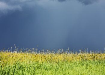 clima brasil