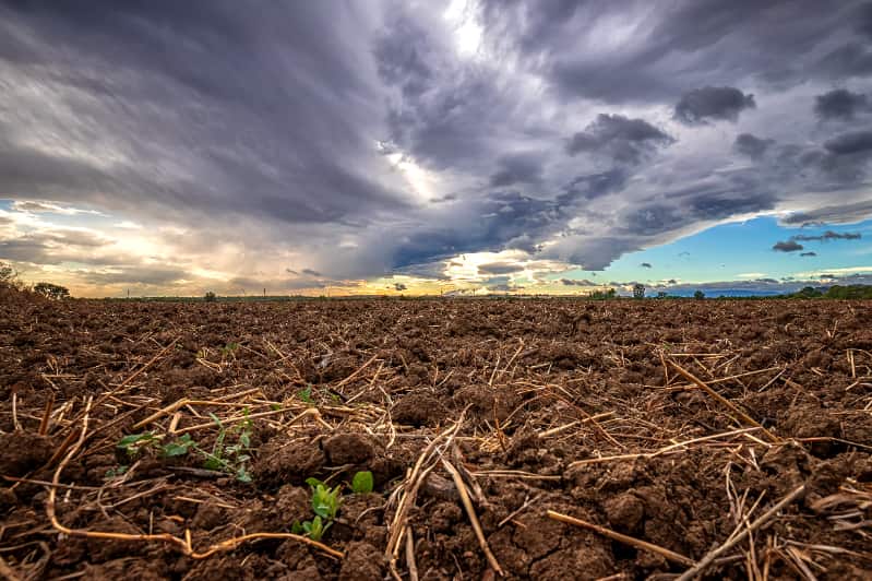 El Niño muda cenário de chuvas e exige adaptação do agro em diferentes regiões 3 El NIno na agricultura